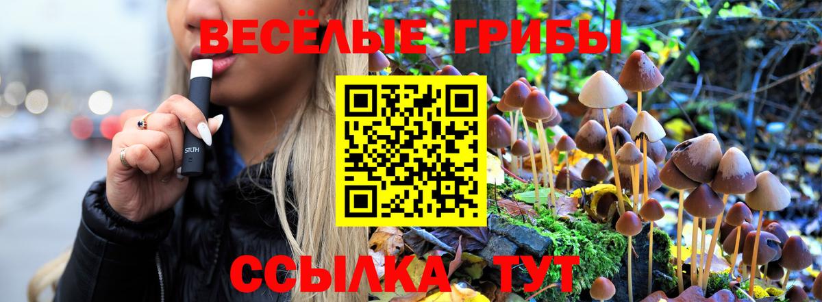 Ачхой-Мартан  Галлюциногенные грибы Cubensis  Псилоцибиновые грибы мухоморы  Вход с VPN 
